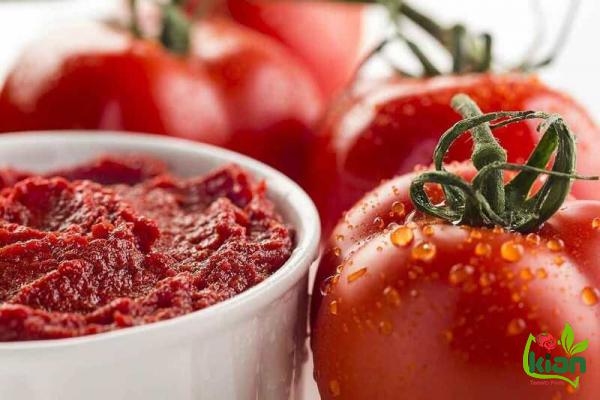 What Are Basics of Exporting Tomato Paste to Other Countries?