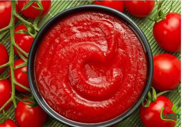 How to Increase the Sustainability of the Tomato Paste’s Market?