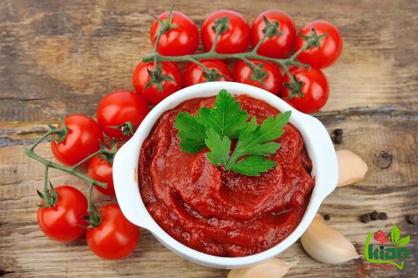 How to Work on Untapped Potential Trade of Tomato Paste’s Industry?