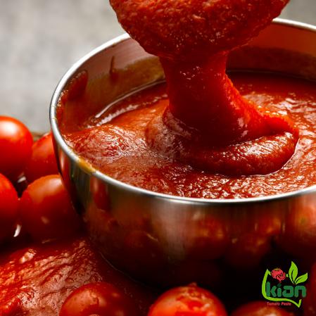 How to Avoid Costly Mistakes in Producing and Exporting Tomato Paste?