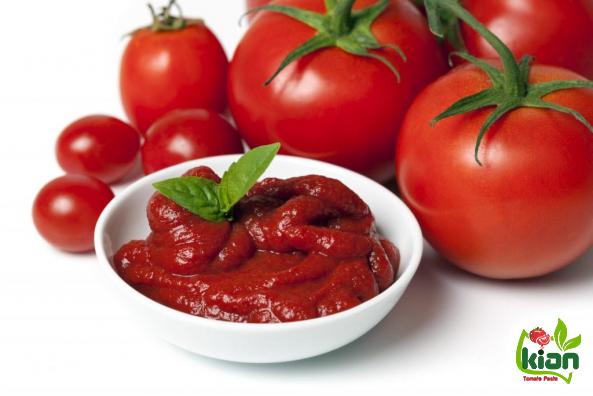 How to Send a Sample of Tomato Paste to the Importers?