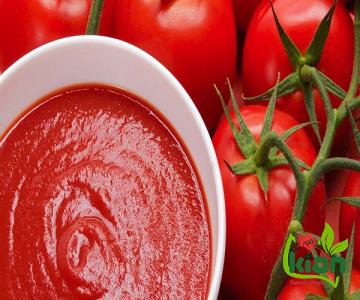 Buy the best types of tomato paste in egypt at a cheap price