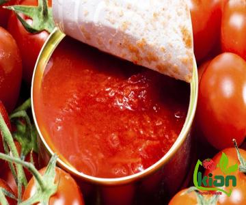 The best price to buy food allergy tomato paste anywhere