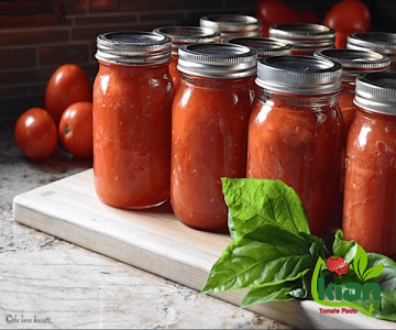 tomato paste in aldi type price reference + cheap purchase