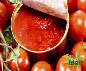 food tomato paste type price reference + cheap purchase