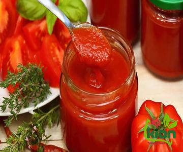 vegetarian chili tomato paste buying guide + great price