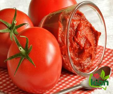 best canned tomato paste buying guide + great price