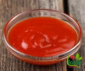 best day tomato paste buying guide + great price